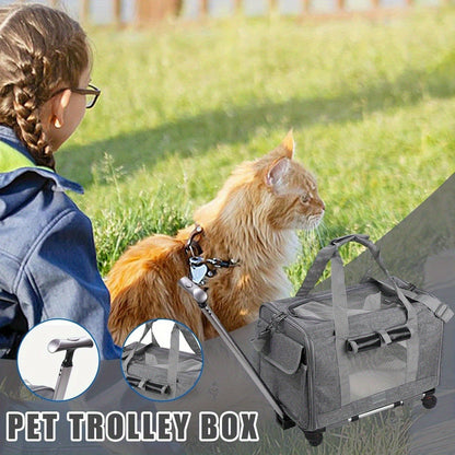 Cat Dog Carrier with Wheels Airline Approved Rolling Pet Carrier with Telescopic Handle Shoulder Strap