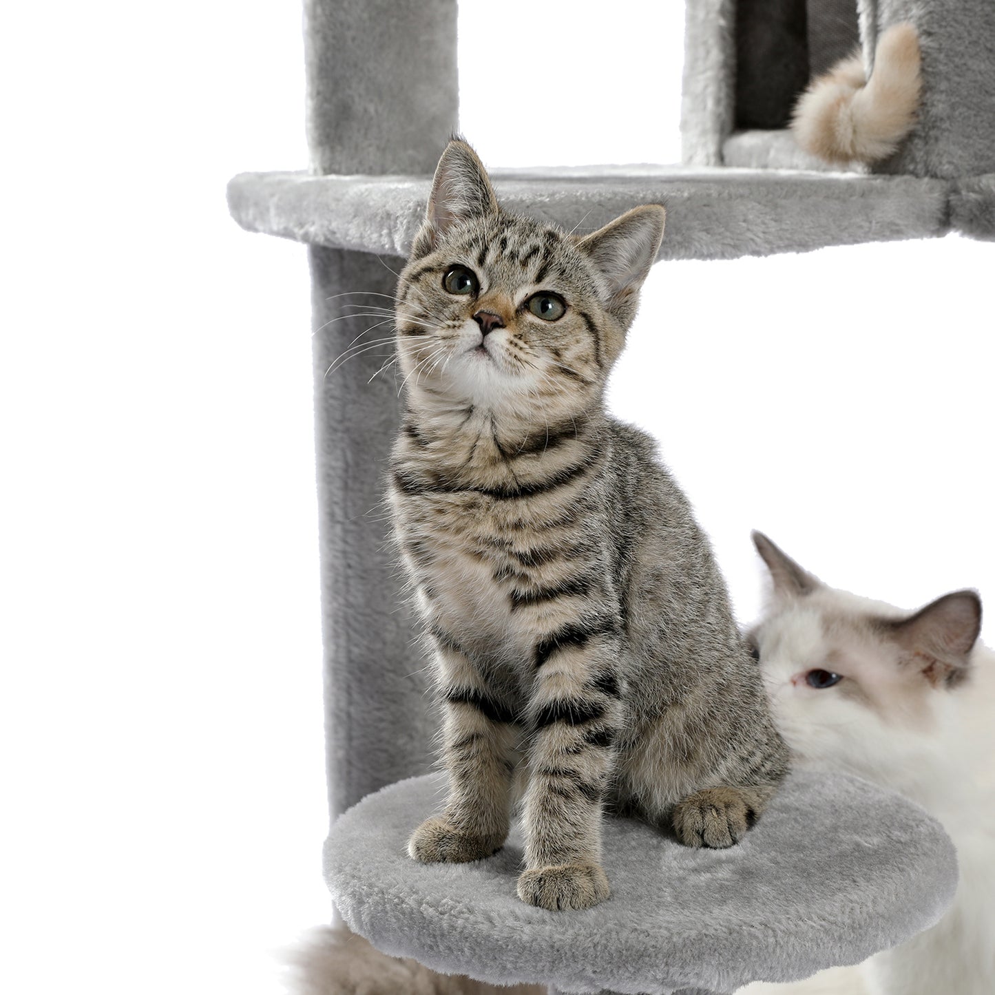 Luxury Cat Tree Cat Tower with Sisal Scratching Post, Cozy Condo, Top Perch, Hammock and Dangling Ball Beige (Minimum Retail Price for US: USD 99.99)